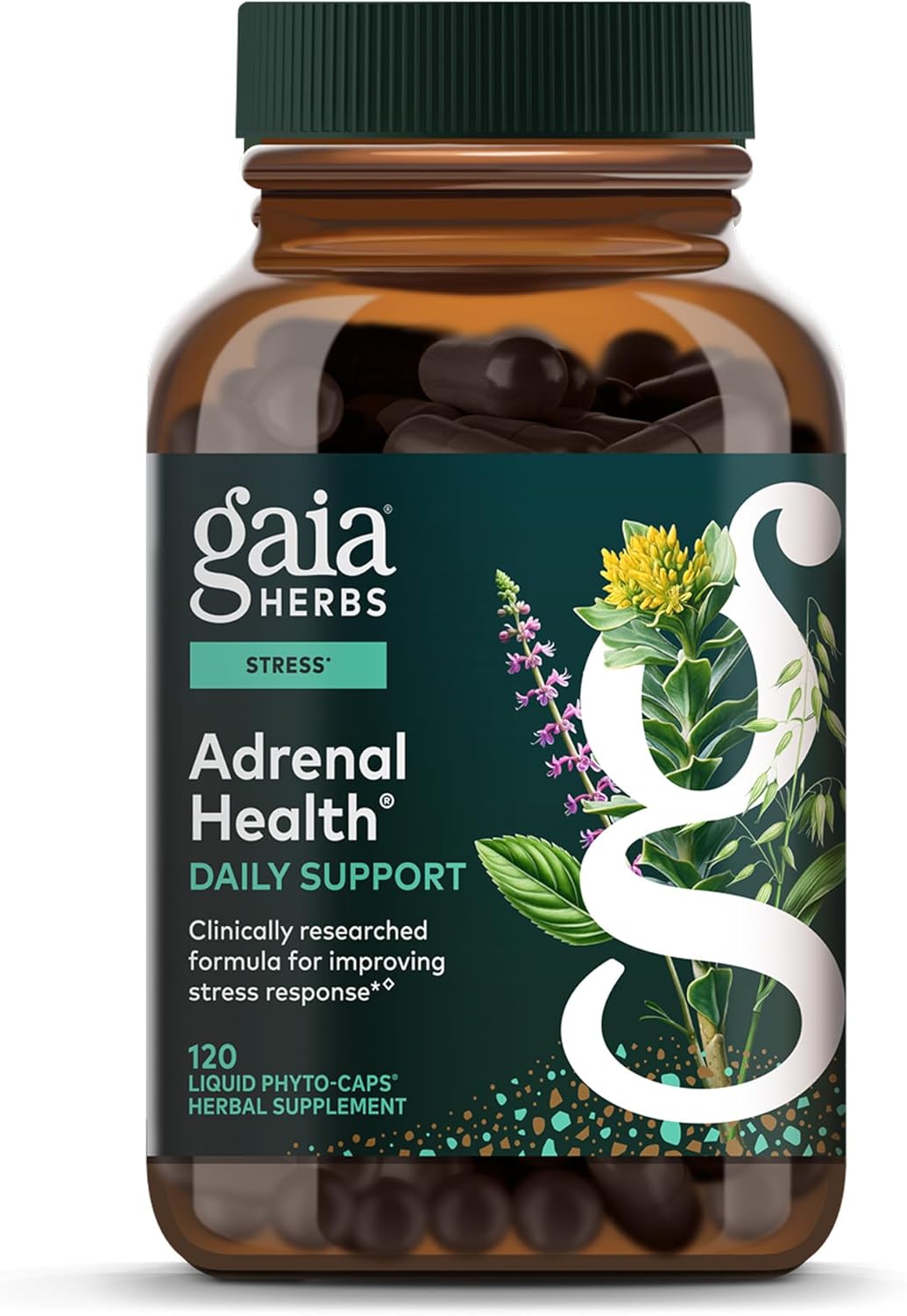 Gaia Herbs Adrenal Health Daily Support - Herbal Supplement with Ashwagandha, Holy Basil & Schisandra - Help Maintain Healthy Energy & Stress Levels* - 120 Vegan Liquid Phyto-Caps (60 Servings)