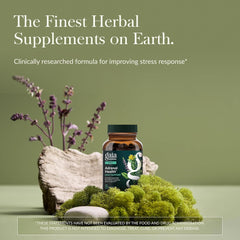 Gaia Herbs Adrenal Health Daily Support - Herbal Supplement with Ashwagandha, Holy Basil & Schisandra - Help Maintain Healthy Energy & Stress Levels* - 120 Vegan Liquid Phyto-Caps (60 Servings)